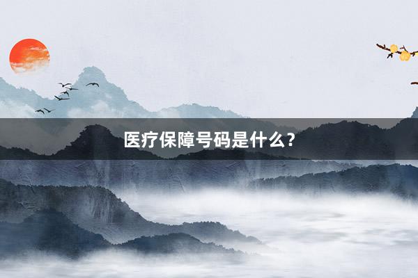 医疗保障号码是什么？
