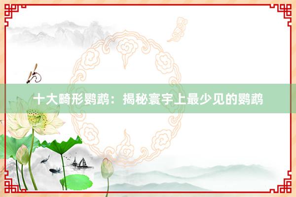 十大畸形鹦鹉：揭秘寰宇上最少见的鹦鹉